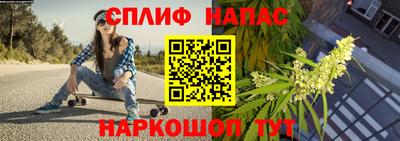 метадон Новозыбков