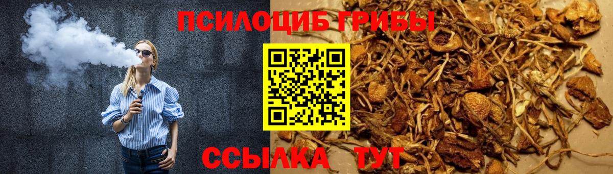 Галлюциногенные грибы Cubensis  Вход с VPN  Ульяновск  Псилоцибиновые грибы GOLDEN TEACHER 