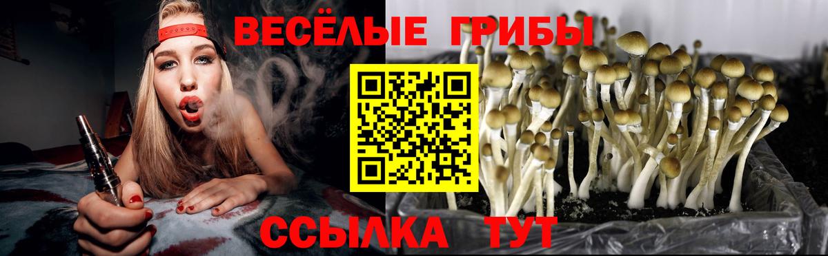 Псилоцибиновые грибы Magic Shrooms Ульяновск